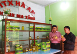 Liên hiệp các Hội KH&KT tỉnh tuyên truyền, phổ biến Giải thưởng Sáng tạo KHCN Việt Nam tại cơ sở