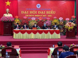 vi deo lãnh đạo trung ương LHH Việt Nam gặp lãnh đạo tỉnh